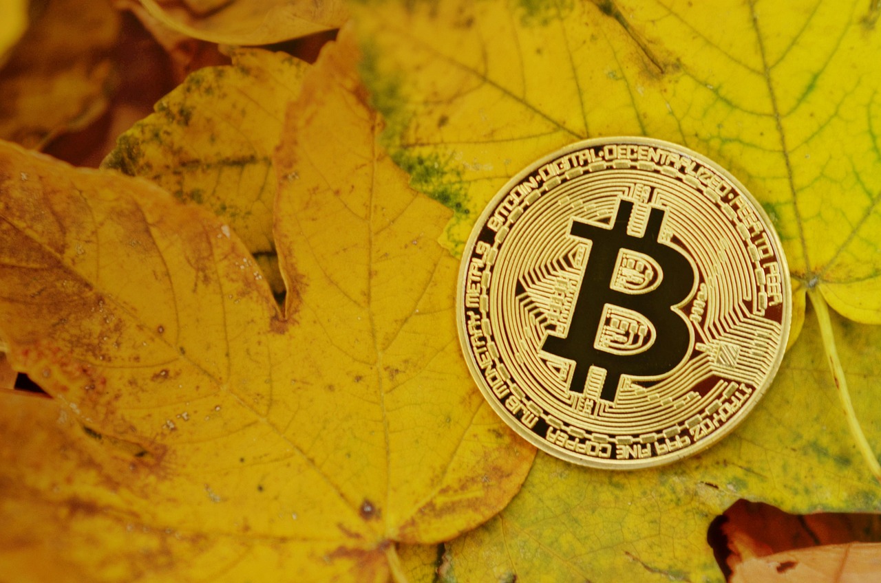 加密风投ParaFi：稳定币USDe维持强势挂钩！Ethena的TVL成长仍具空间