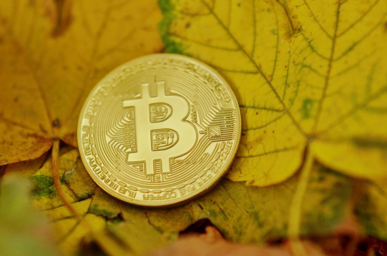 绕过立法实现加密货币支付！巴拿马市宣布接受BTC、ETH、USDT、USDC缴税